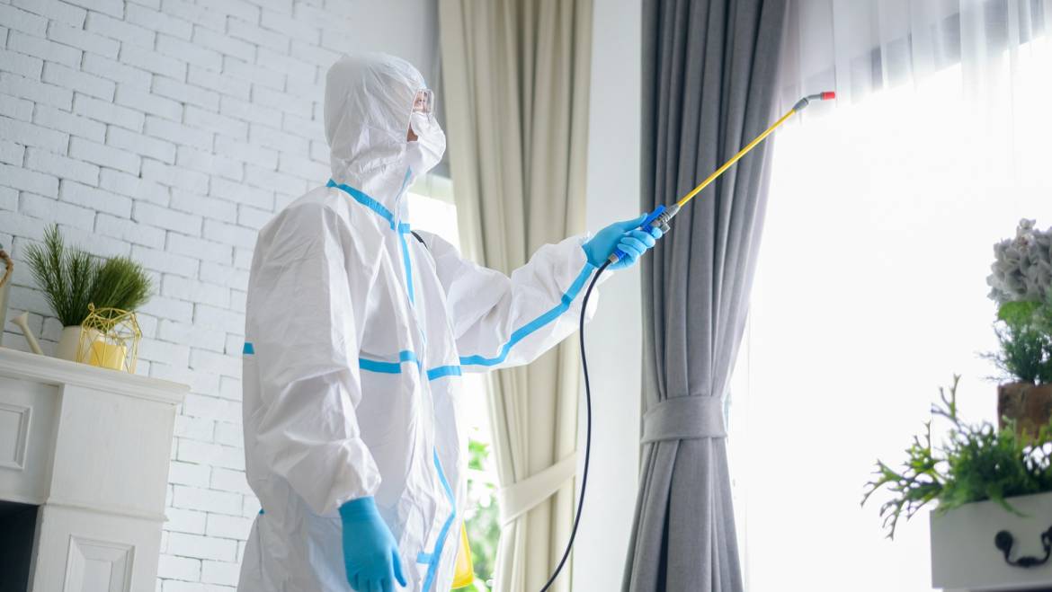 Signs Your Home Needs Termite Treatment on the Sunshine Coast