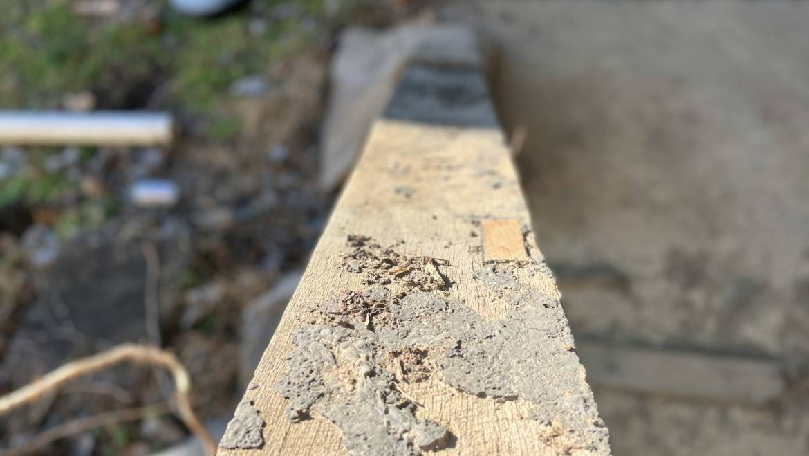 Planning a New Build? Pre-Construction Termite Treatment Essentials