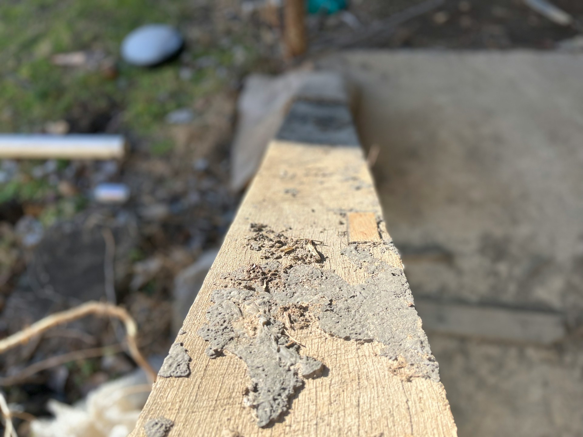 Planning a New Build? Pre-Construction Termite Treatment Essentials