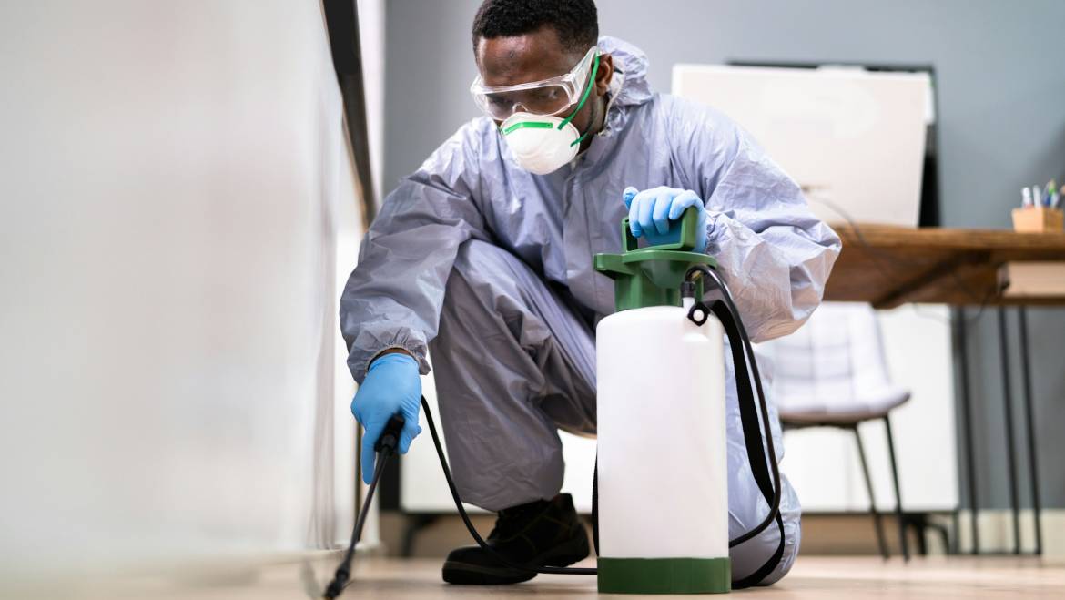 Choosing Commercial Pest Control on the Sunshine Coast