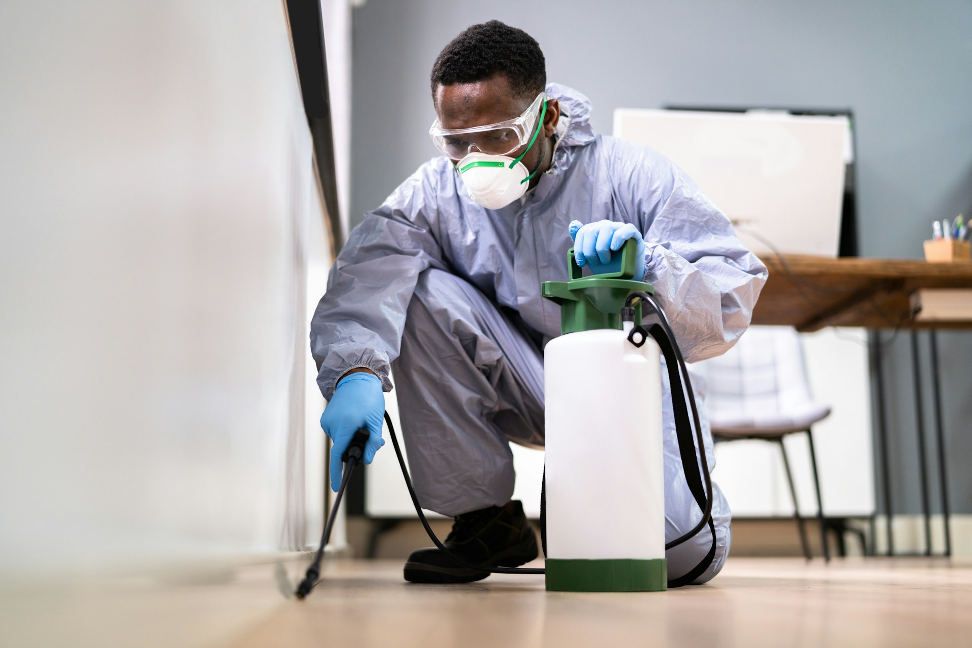 Choosing Commercial Pest Control on the Sunshine Coast
