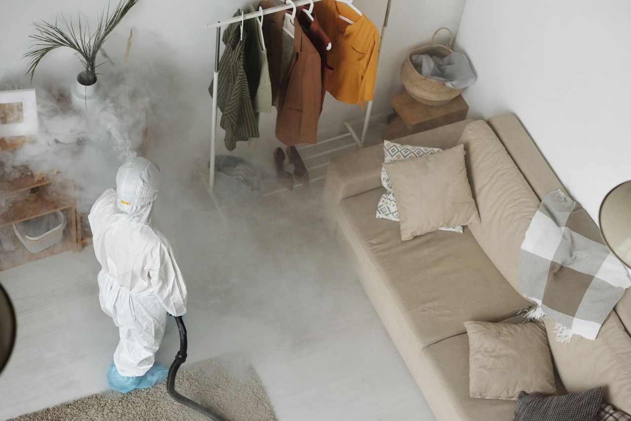 Booking a Pest Control Quote on the Sunshine Coast the Smart Way